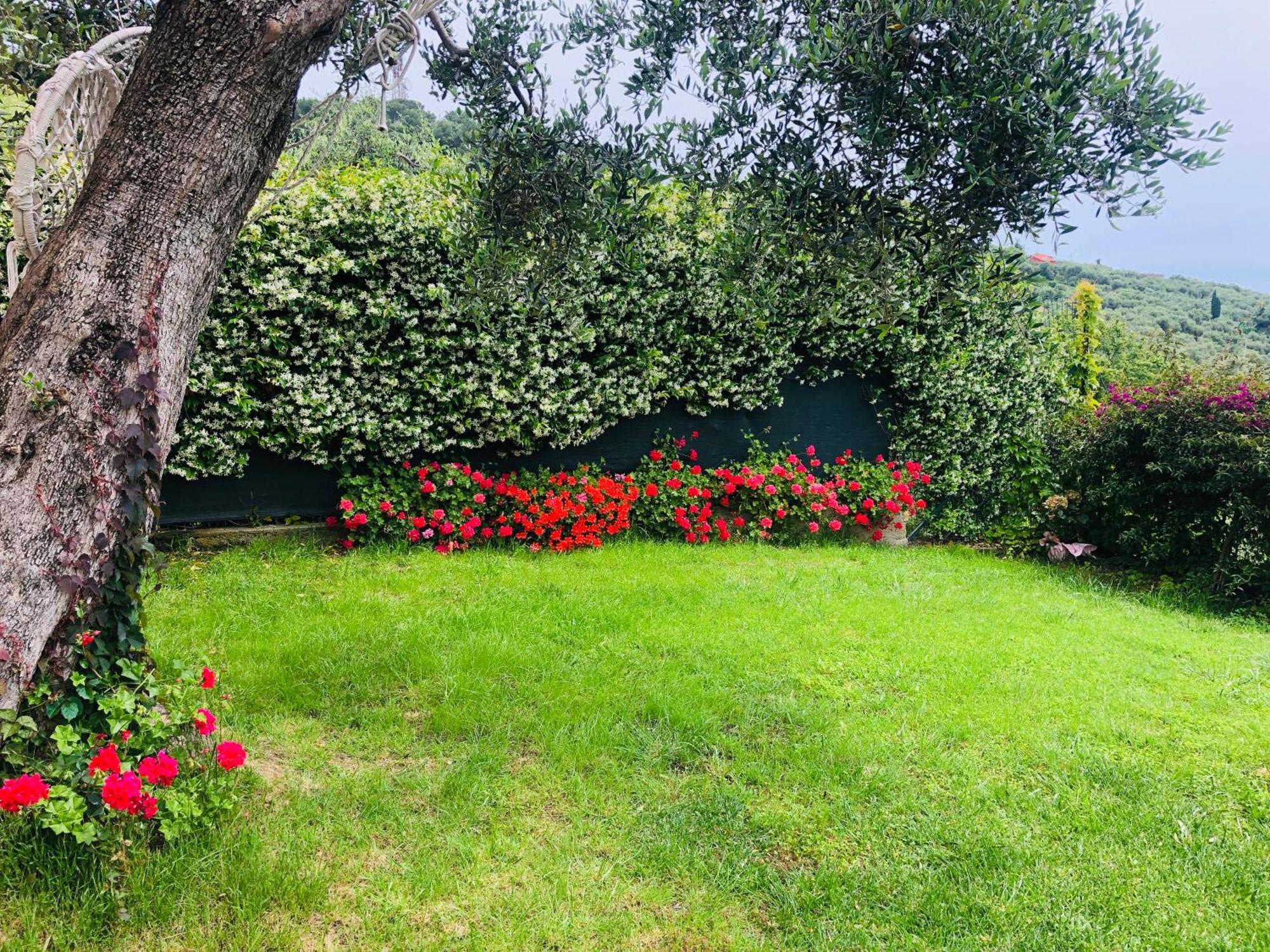 Отель Le Jardin Sur Mer Avec Bike Et Mtb Tour Империя Экстерьер фото